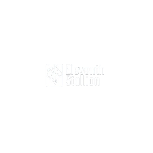 Eleventh Stallion